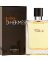 Мъжки парфюм Terre EDT 100 ml	