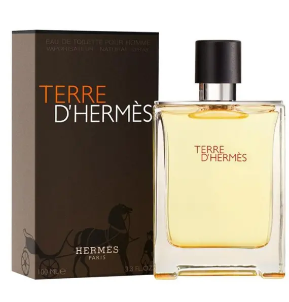 Мъжки парфюм Terre EDT 100 ml	